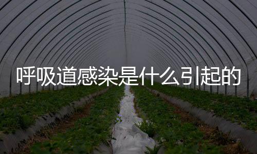 呼吸道感染是什么引起的