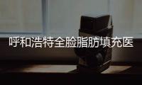 呼和浩特全臉脂肪填充醫院排名:京美整形等上榜呼市面部填充正規有名醫院