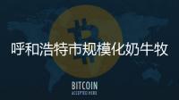 呼和浩特市規模化奶牛牧場建設穩步推進
