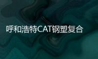 呼和浩特CAT鋼塑復合拉筋帶價格優惠
