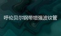 呼倫貝爾鋼帶增強(qiáng)波紋管專業(yè)生產(chǎn)