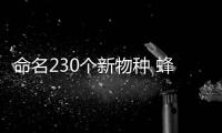 命名230個(gè)新物種 蜂虻成凜“夜王”