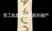 員工批量辭職大股東破產(chǎn)清算 長航鳳凰何去何從？