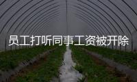 員工打聽同事工資被開除，法院判令公司支付被開除人賠償金