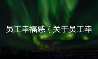 員工幸福感（關(guān)于員工幸福感的基本情況說明介紹）