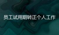 員工試用期轉(zhuǎn)正個人工作總結(jié)（新員工試用期轉(zhuǎn)正工作總結(jié)）