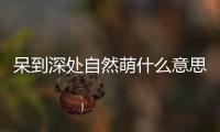 呆到深處自然萌什么意思（萌什么意思）