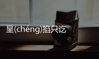 呈(chénɡ)掐只訖(qì)到底是怎么回事？