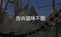 告訴貓咪不能