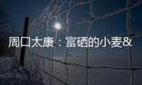 周口太康：富硒的小麥 黑色的金子丨“麥”向豐收·“三夏”進(jìn)行時(shí)