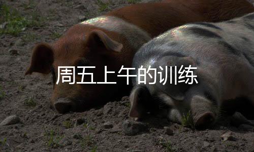 周五上午的訓(xùn)練