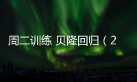 周二訓(xùn)練 貝隆回歸（2004.11.30）