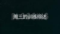 周三的訓練綜述