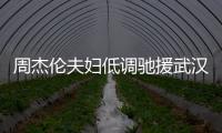 周杰倫夫婦低調馳援武漢，捐款三百萬元，首次發聲