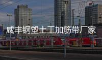 咸豐鋼塑土工加筋帶廠(chǎng)家