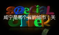 咸寧是哪個(gè)省的城市（關(guān)于咸寧是哪個(gè)省的城市的基本情況說明介紹）