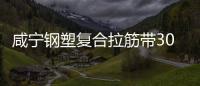 咸寧鋼塑復(fù)合拉筋帶30020B價格
