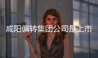 咸陽偏轉集團公司是上市公司么（咸陽偏轉集團公司）
