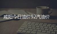 咸陽(yáng)今日油價(jià)92汽油價(jià)格和咸陽(yáng)市油價(jià)查詢今日的情況說(shuō)明