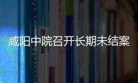 咸陽中院召開長期未結案件清理工作推進會