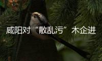 咸陽(yáng)對(duì)“散亂污”木企進(jìn)行清理取締