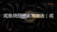 咸魚燒茄子家常做法（咸魚燒茄子家常做法大全）