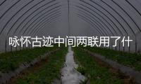 詠懷古跡中間兩聯用了什么表現手法 詠懷古跡中間兩聯的表現手法