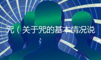咒（關于咒的基本情況說明介紹）