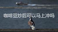 咖啡豆炒后可以馬上沖嗎