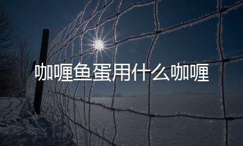 咖喱魚蛋用什么咖喱