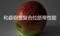 和縣鋼塑復合拉筋帶性能