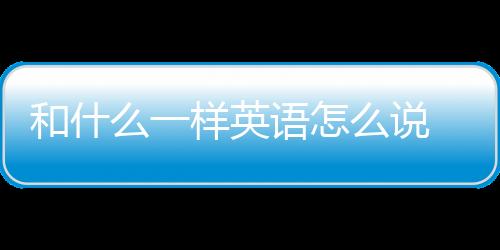 和什么一樣英語怎么說 你也一樣英語怎么說