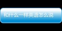 和什么一樣英語怎么說 你也一樣英語怎么說