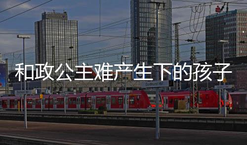 和政公主難產生下的孩子最后有沒有保下來（和政公主）