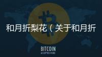 和月折梨花（關于和月折梨花的基本情況說明介紹）