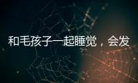 和毛孩子一起睡覺(jué)，會(huì)發(fā)生什么？