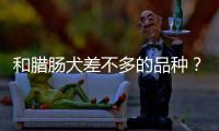 和臘腸犬差不多的品種？ 純種臘腸犬價(jià)格
