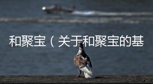 和聚寶（關于和聚寶的基本情況說明介紹）