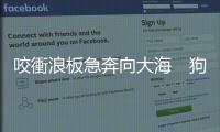 咬衝浪板急奔向大?！」饭沸n浪大賽加州登場