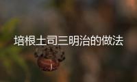 培根土司三明治的做法