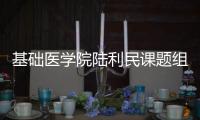 基礎醫學院陸利民課題組發現腎臟纖維化發生新機制