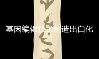 基因編輯技術制造出白化蜥蜴