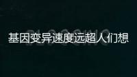 基因變異速度遠超人們想象
