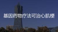 基因藥物療法可治心肌梗死