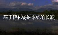 基于碲化鉍納米線的長波紅外光熱電探測器開發