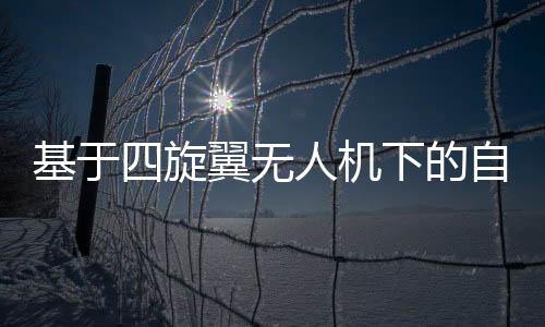 基于四旋翼無人機下的自動巡檢系統