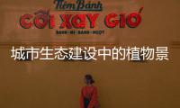 城市生態(tài)建設(shè)中的植物景觀規(guī)劃