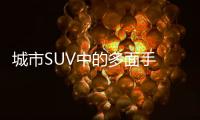 城市SUV中的多面手 哈弗大狗新老款車型對比