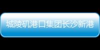 城陵磯港口集團(tuán)長沙新港1月專用鐵路貨物到發(fā)量同比增長49.1%