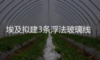 埃及擬建3條浮法玻璃線,行業資訊